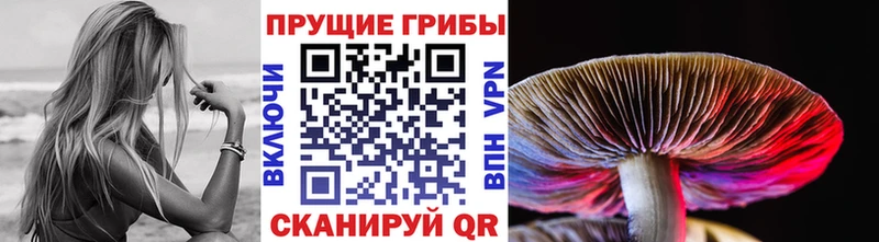Псилоцибиновые грибы GOLDEN TEACHER Купить закладки Великий Новгород