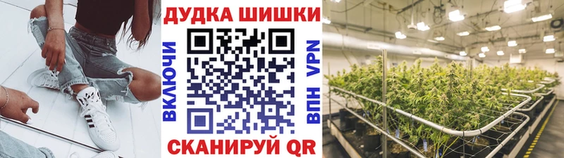 Купить  Великий Новгород  МАРИХУАНА THC 21% 